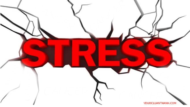 Stress có ảnh hưởng đến vảy nến?