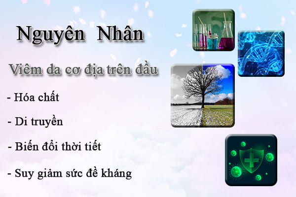 Nguyên nhân gây viêm da trên đầu