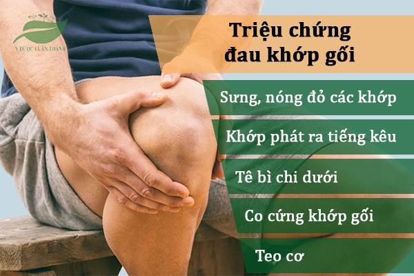 Triệu chứng đau khớp gối