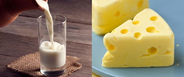 Sữa và chế phẩm từ sữa